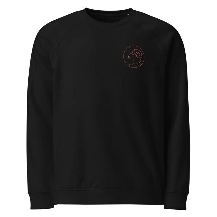 Mystic Aries Circle Organic Sweatshirt product image (1)