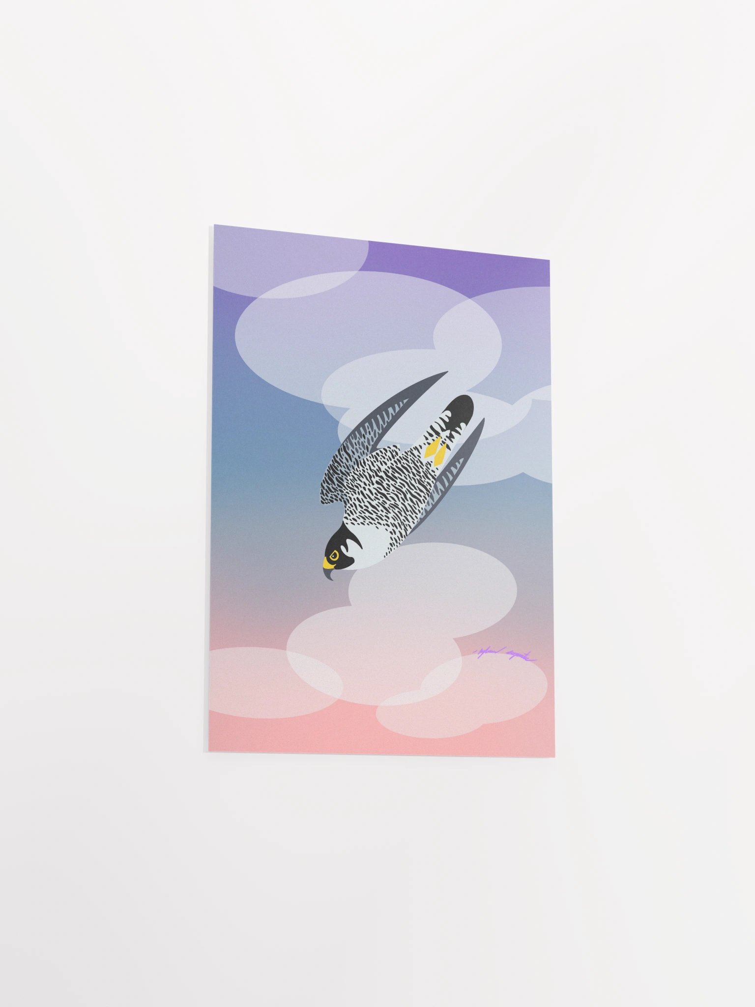 Peregrine Falcon product image (5)