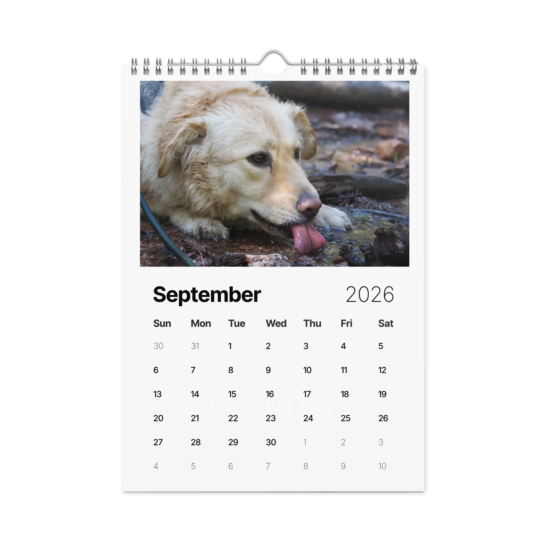 Milo's Life 2026 Wall Calendar product image (12)
