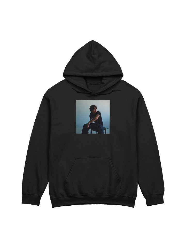 DAVID LEE HEAVY BLEND HOODIE product image (1)