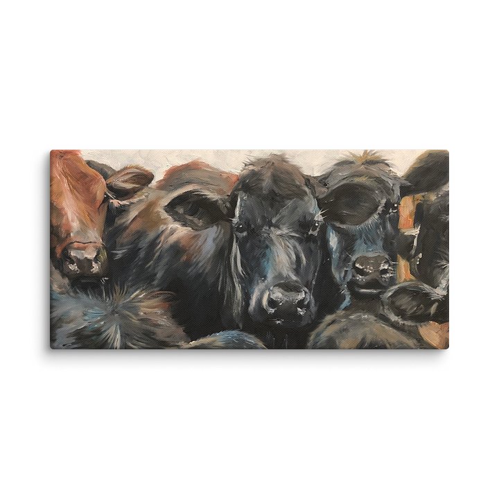 Black and One Brown Cow - Gilcee Canvas product image (1)