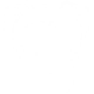 CrazyDog