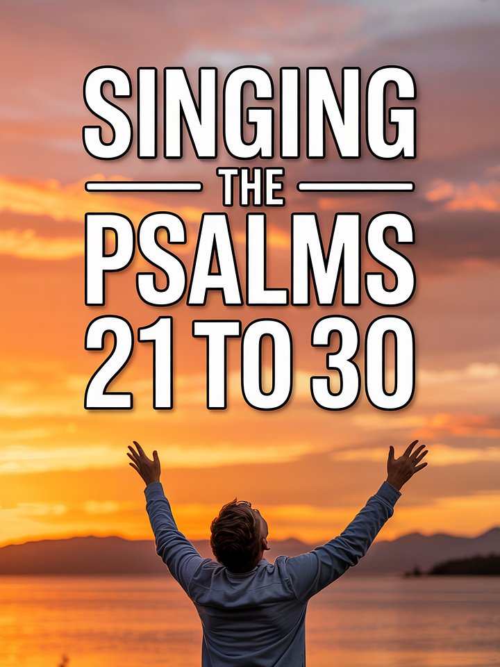 Psalms 21-30 product image (1)