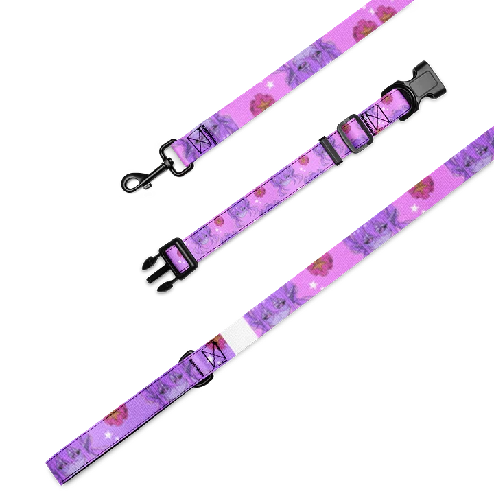 Lomari Print Dog Leash! product image (1)
