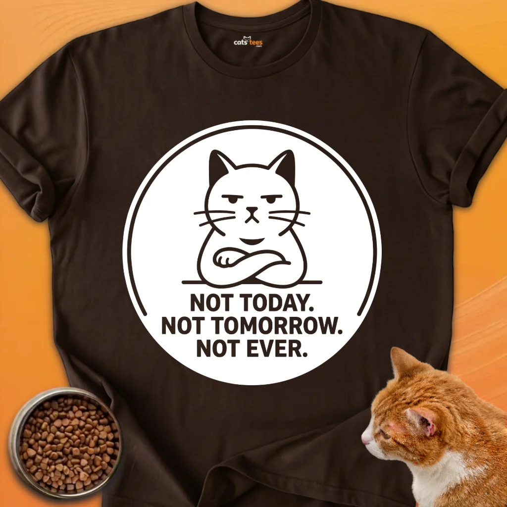 Not Today Not Tomorrow product image (9)
