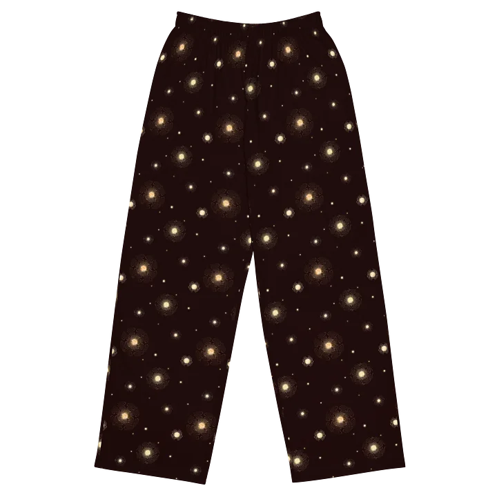 Star Cluster - Wide Leg Pants product image (1)