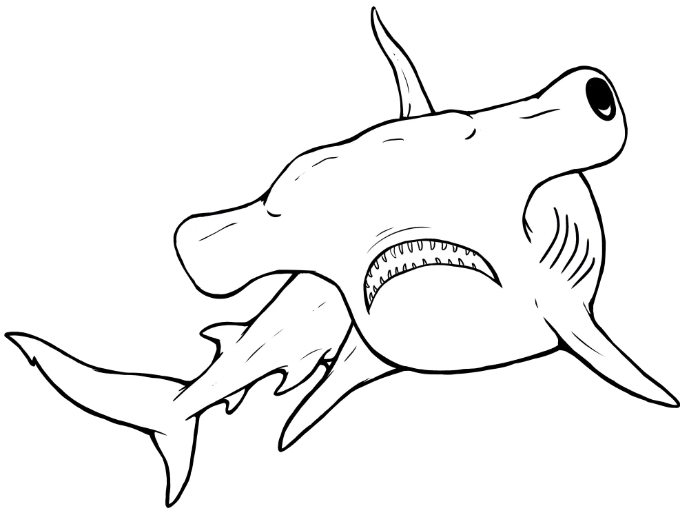 Hammerhead Coloring Pages product image (6)