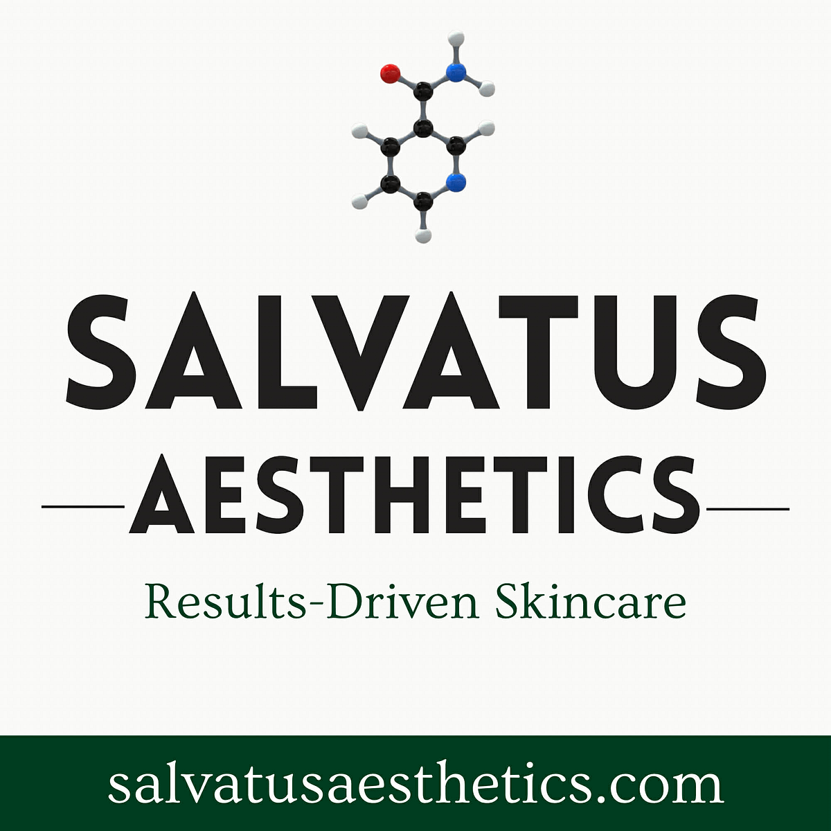 Salvatus Aesthetics cover