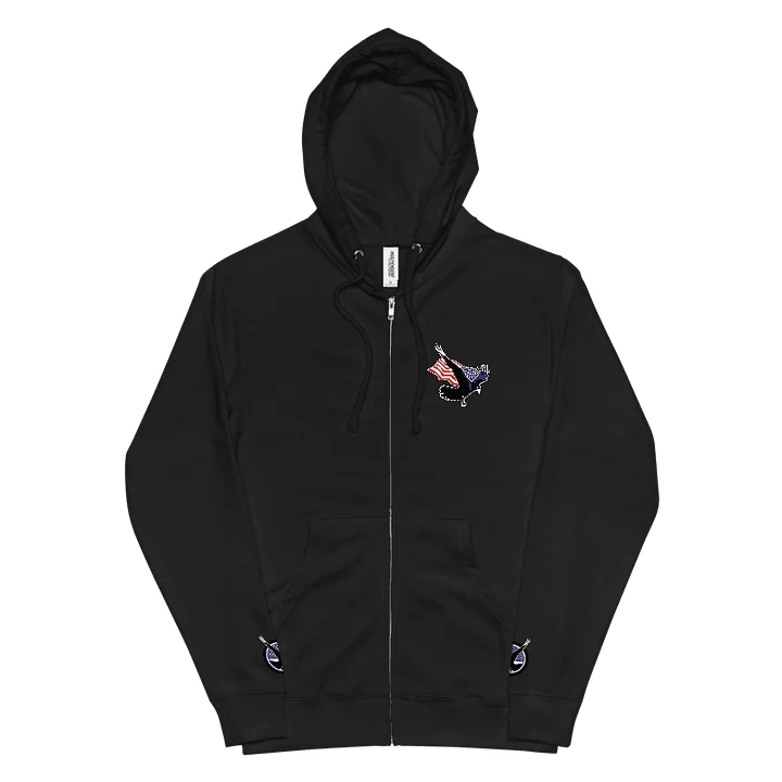 EMBROIDERED EVEHTEROUS FREEDOM HOODIE product image (1)