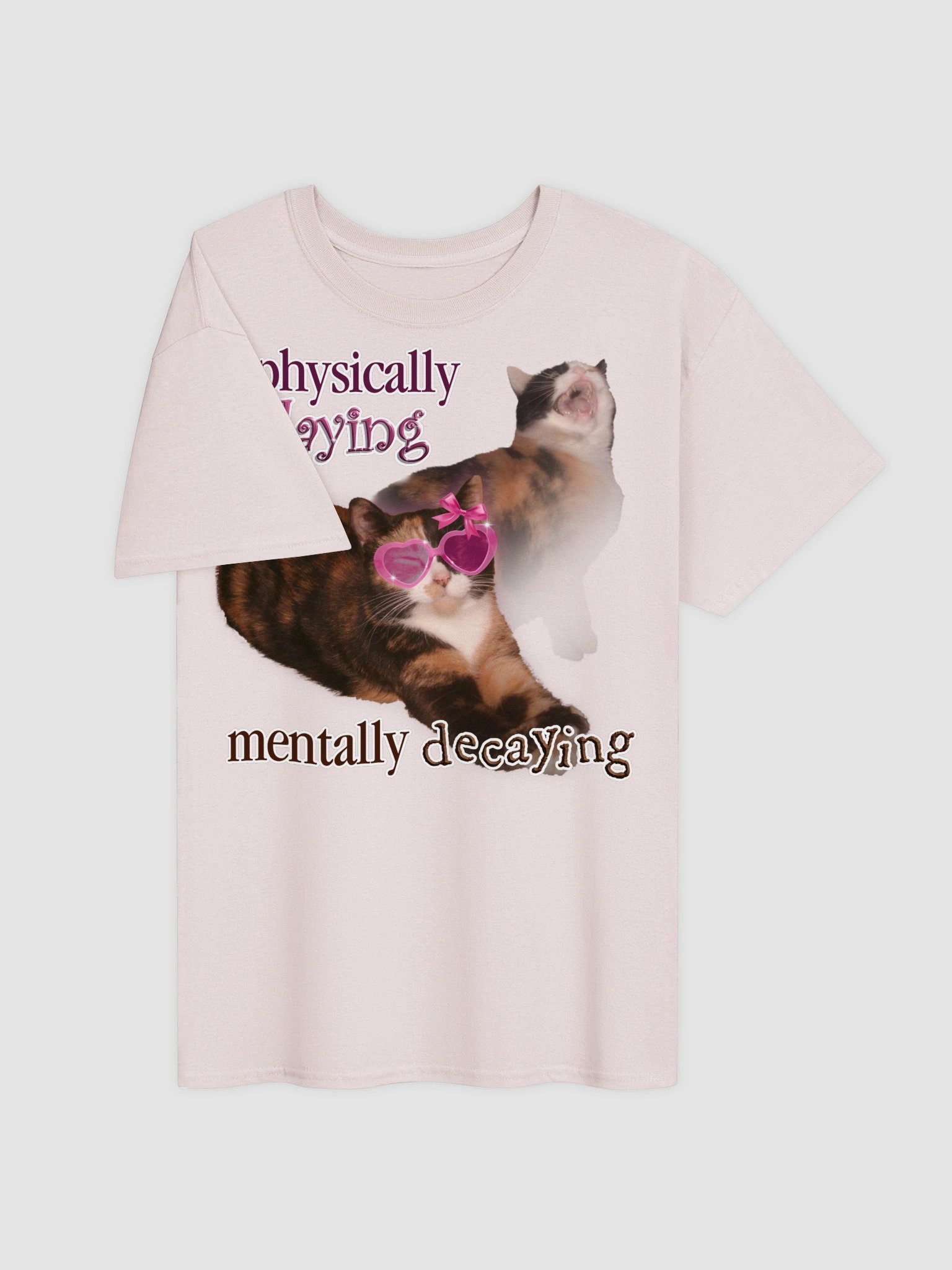 Physically Slaying Mentally Decaying - Cat T-shirt product image (4)