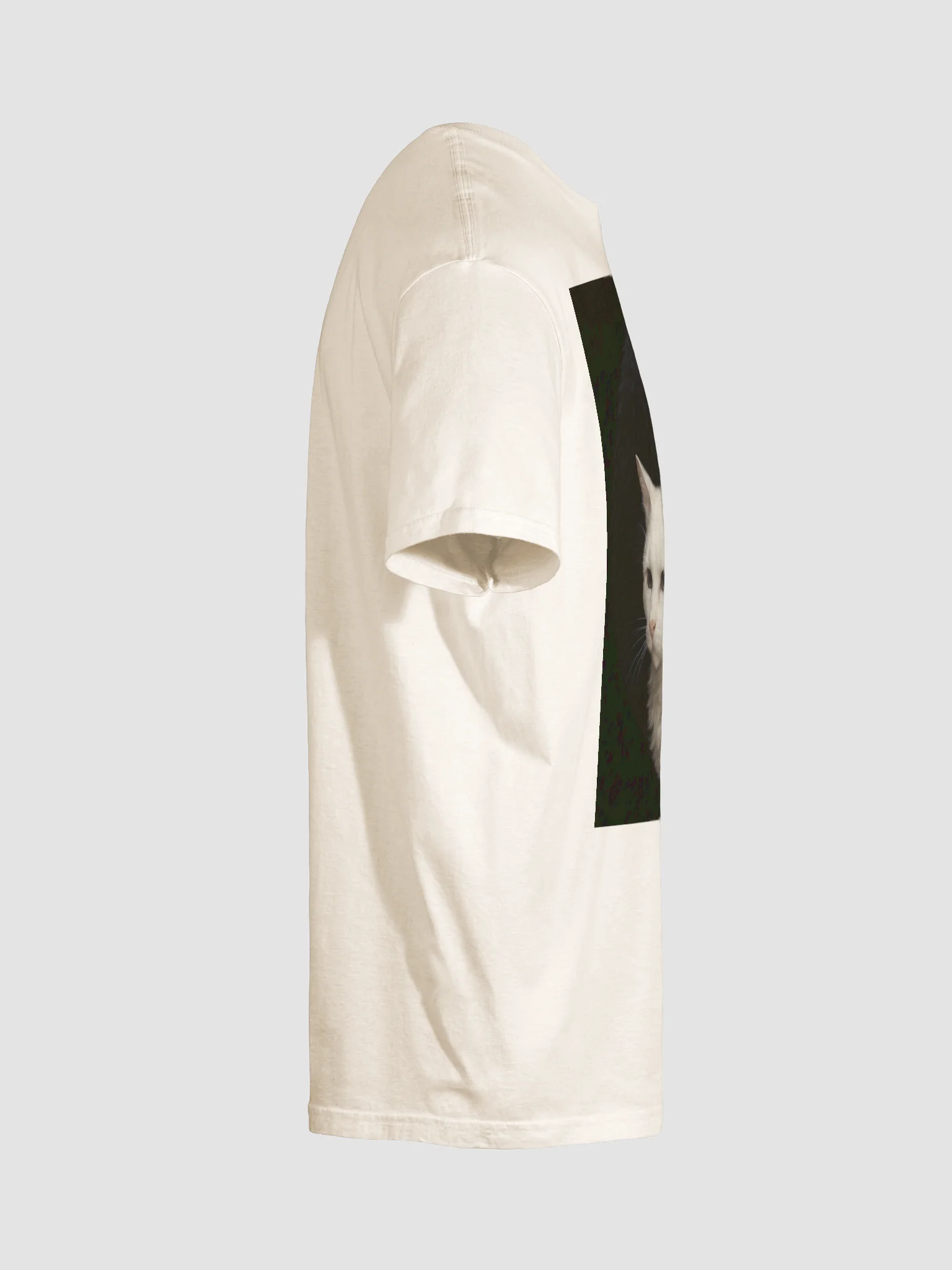 The Truth product image (28)