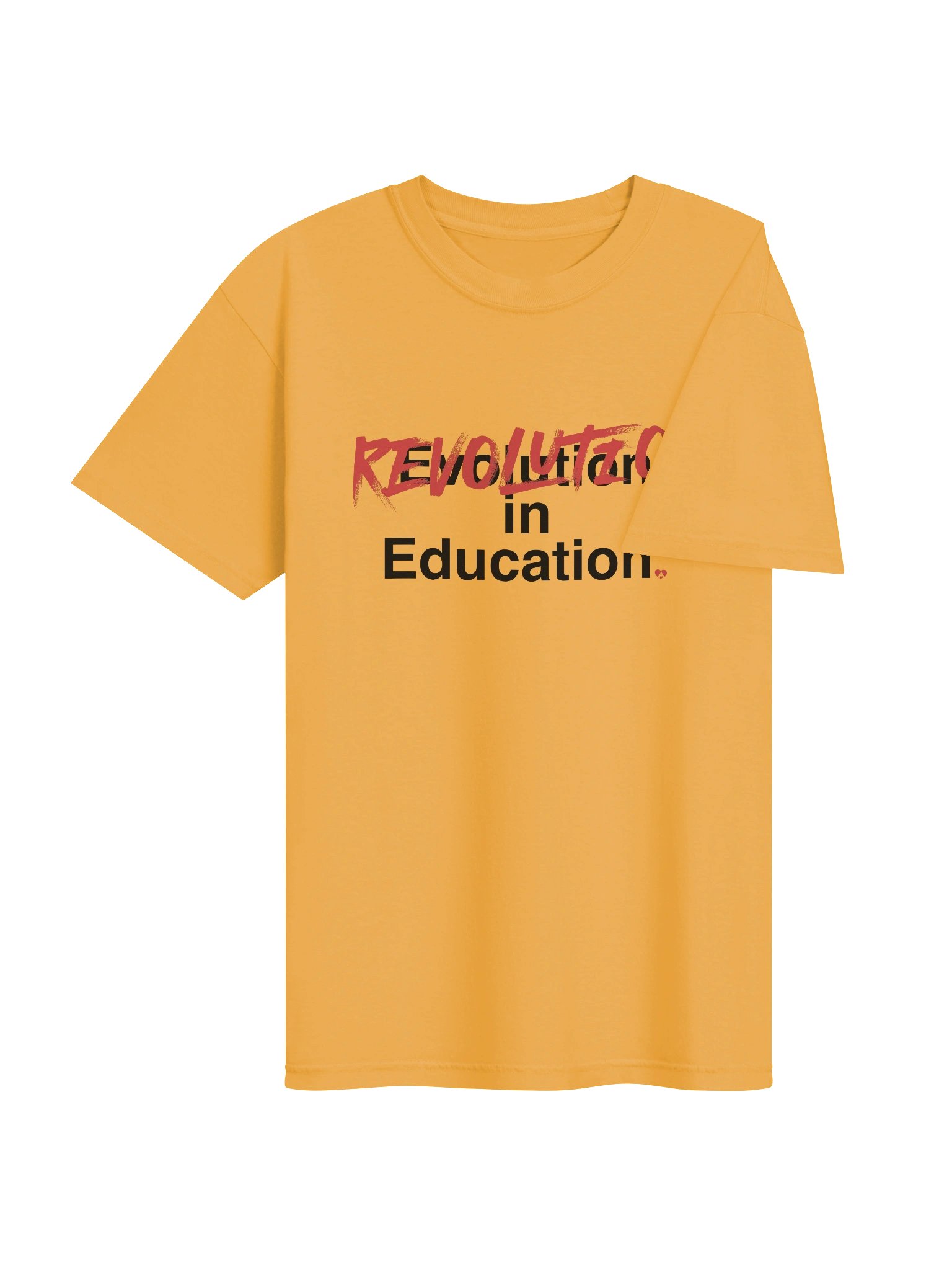 Revolution, not evolution, in Education product image (19)