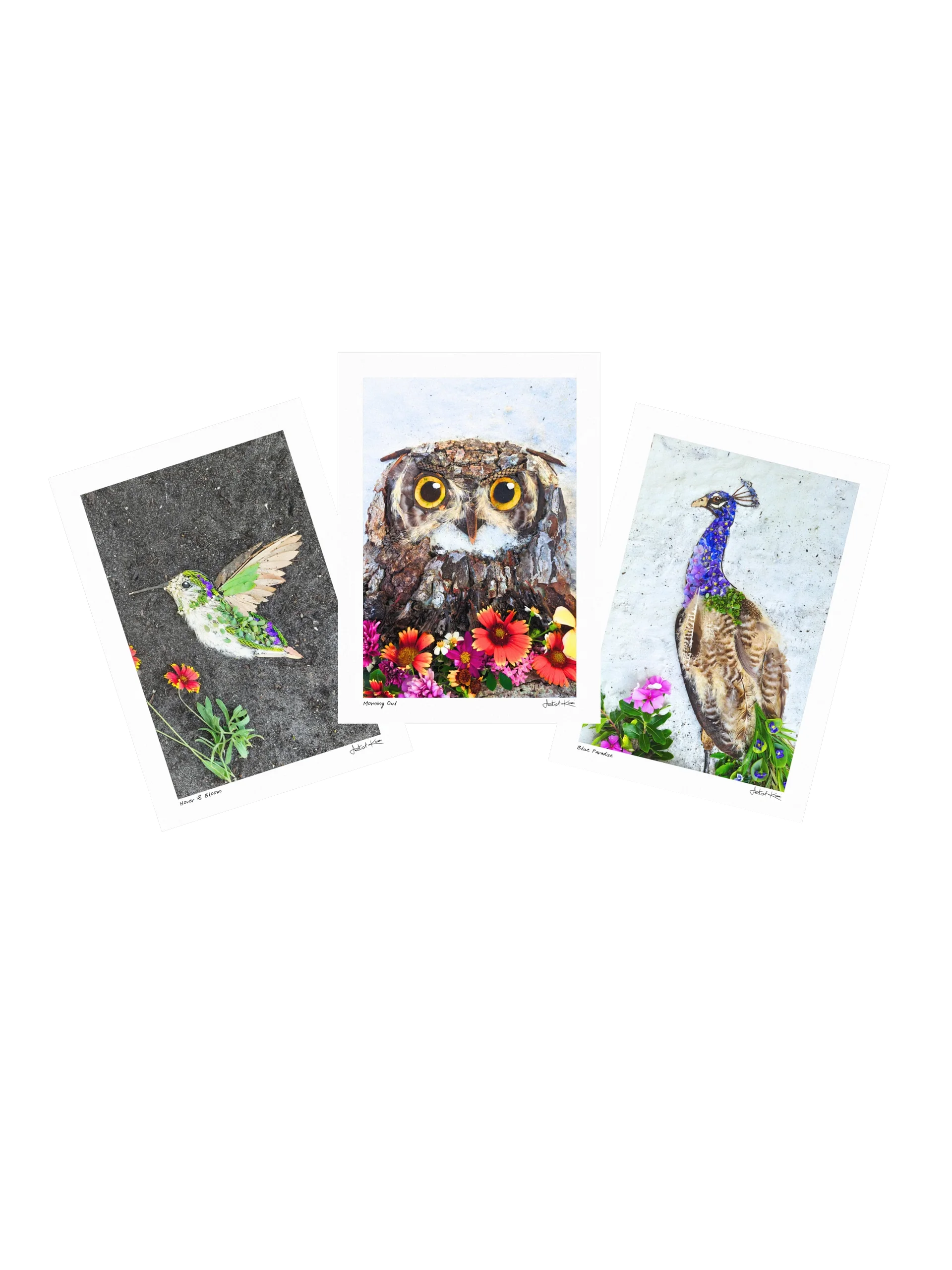 WILD FEATHERS COLLECTION | Small Prints product image (1)