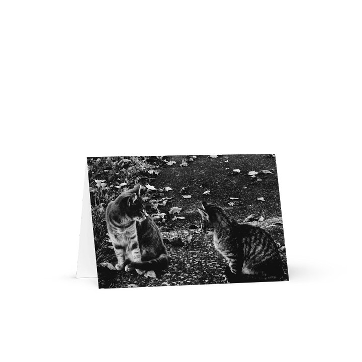 Whisker Whispers Greeting Card product image (1)