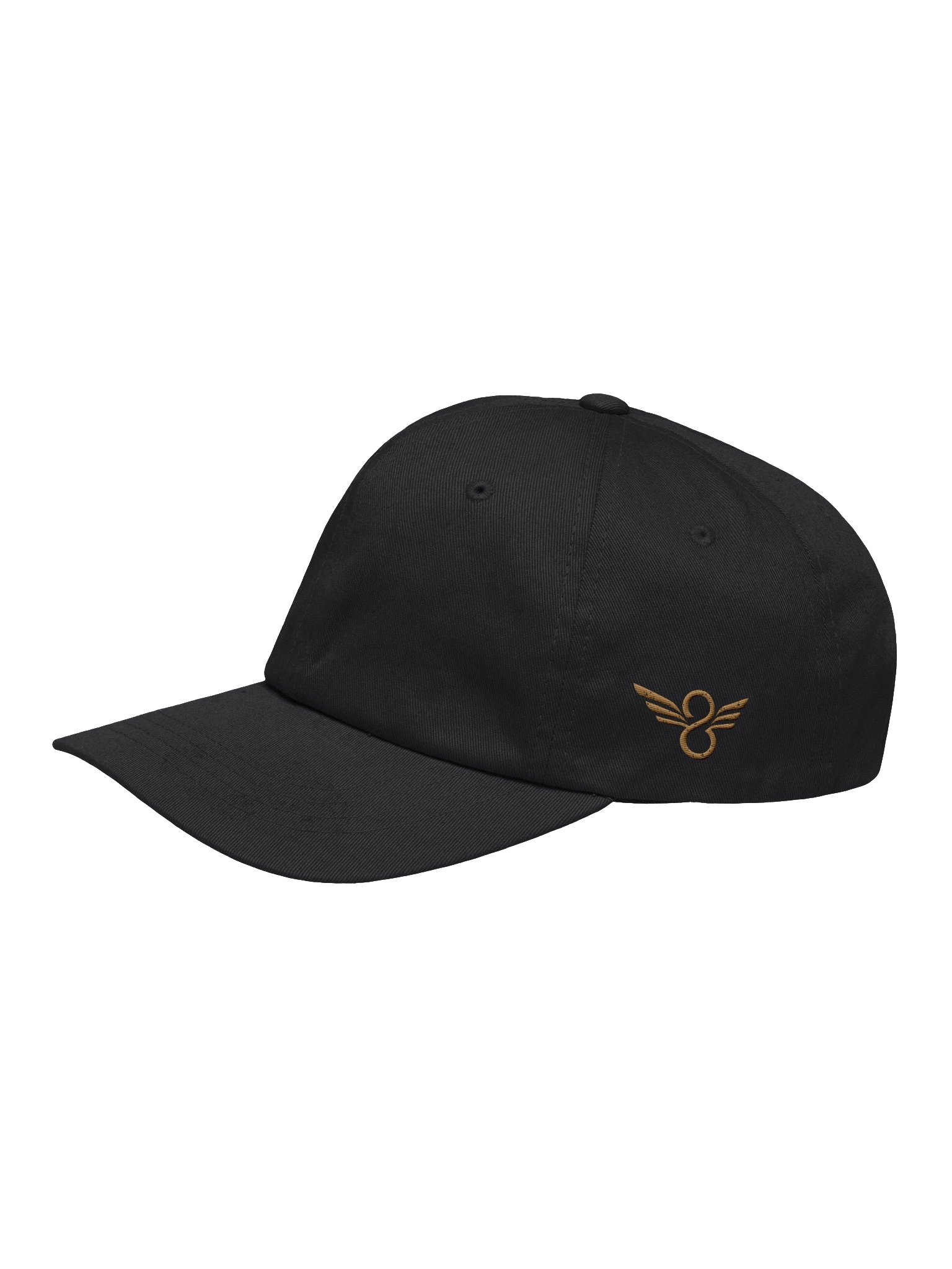 Wise Disciple Heritage Dad Hat product image (1)