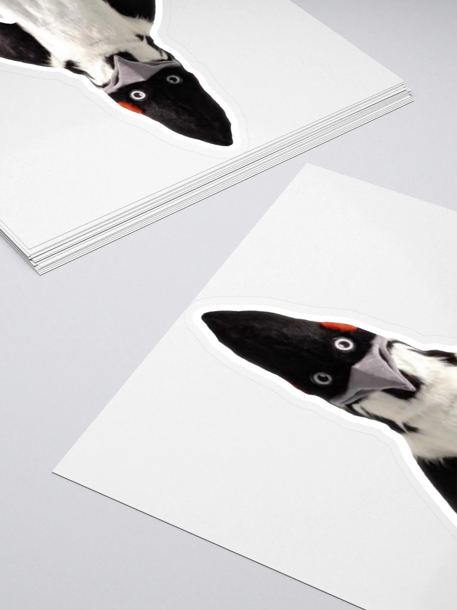 BIRD Sticker product image (4)