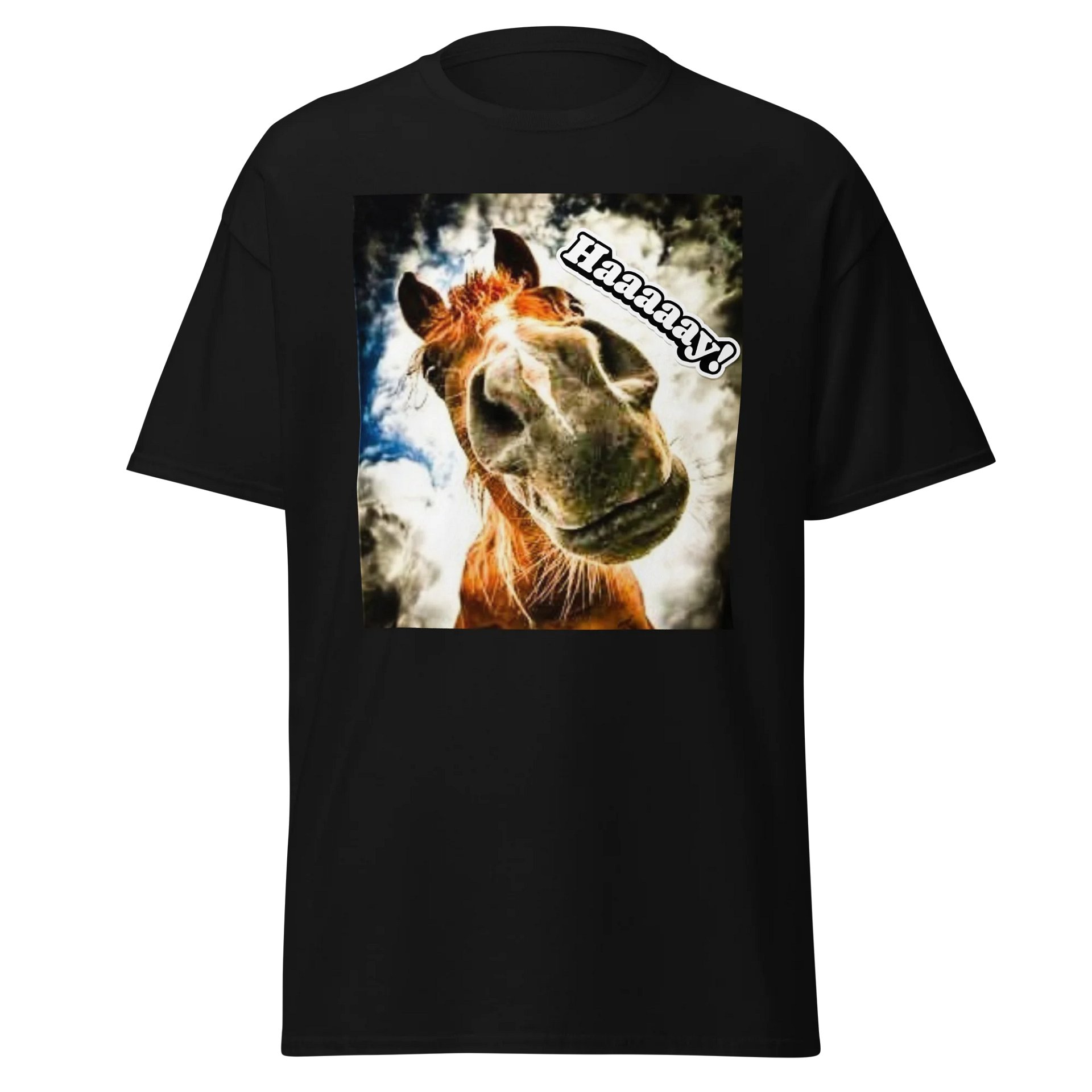 Haaaaay is for horses Tee product image (1)