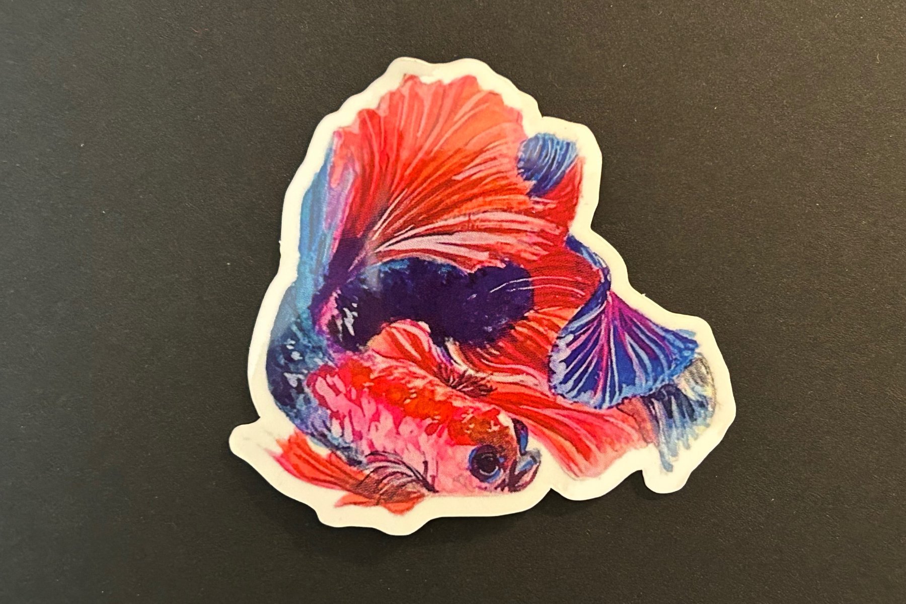 Underwater Critters Vinyl Sticker Pack product image (3)