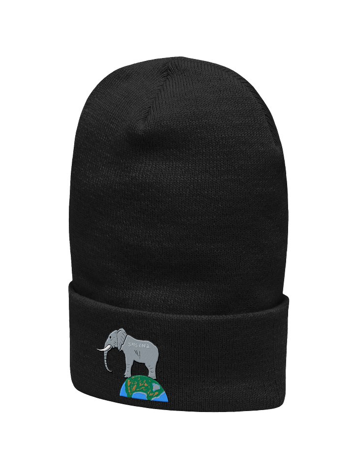 Elephant In The Room beanie (covid) product image (2)