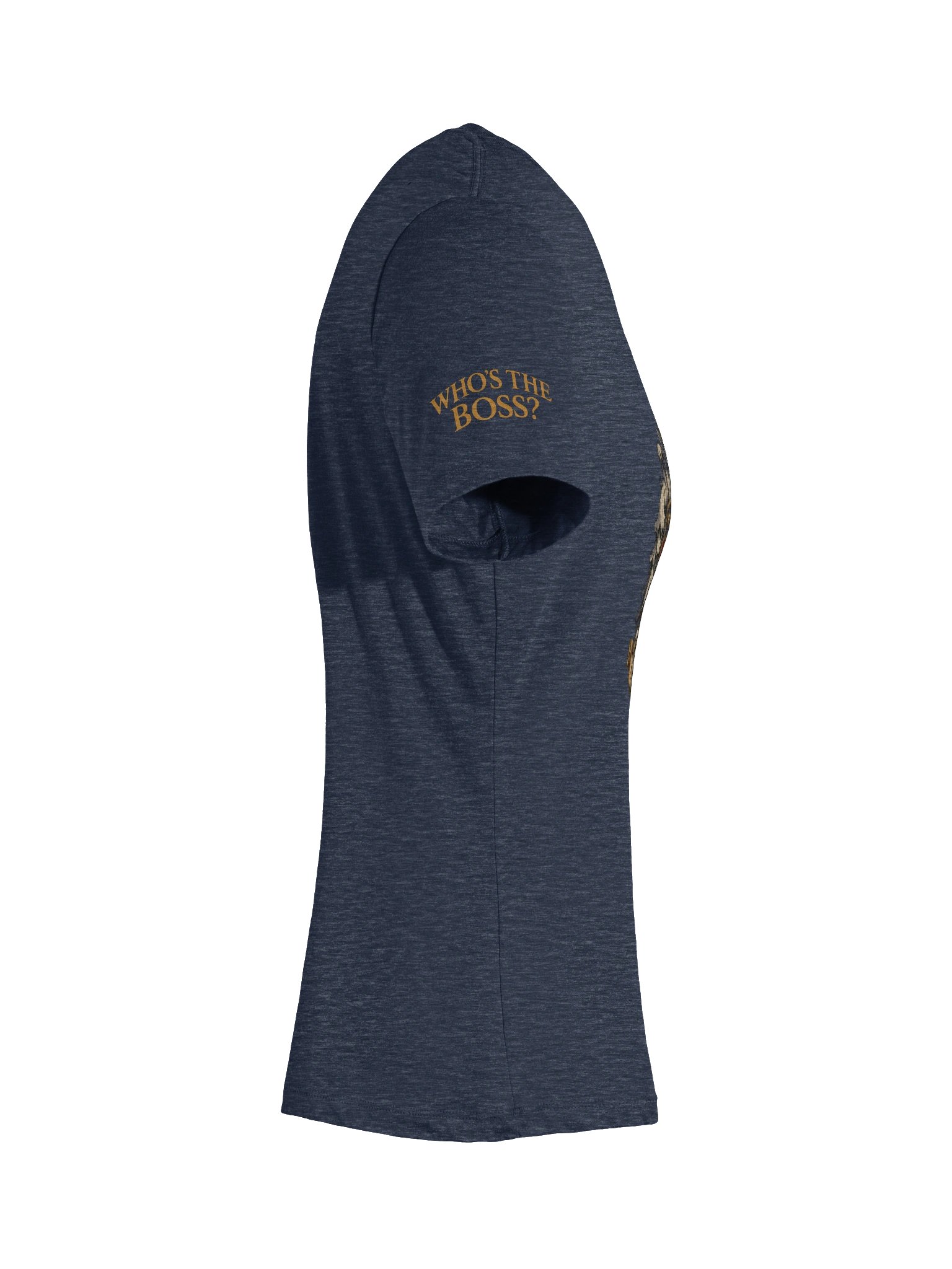 ROUND 43: HOUSE OF GOAT WOMEN'S V-NECK product image (11)