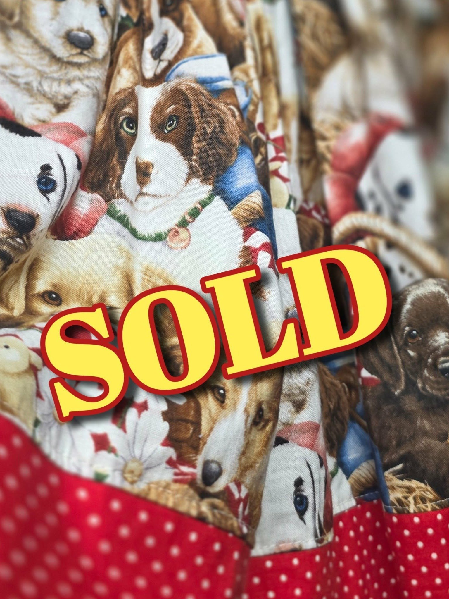 KPEA - Size 6 - GENTLY USED - All dogs dress product image (1)