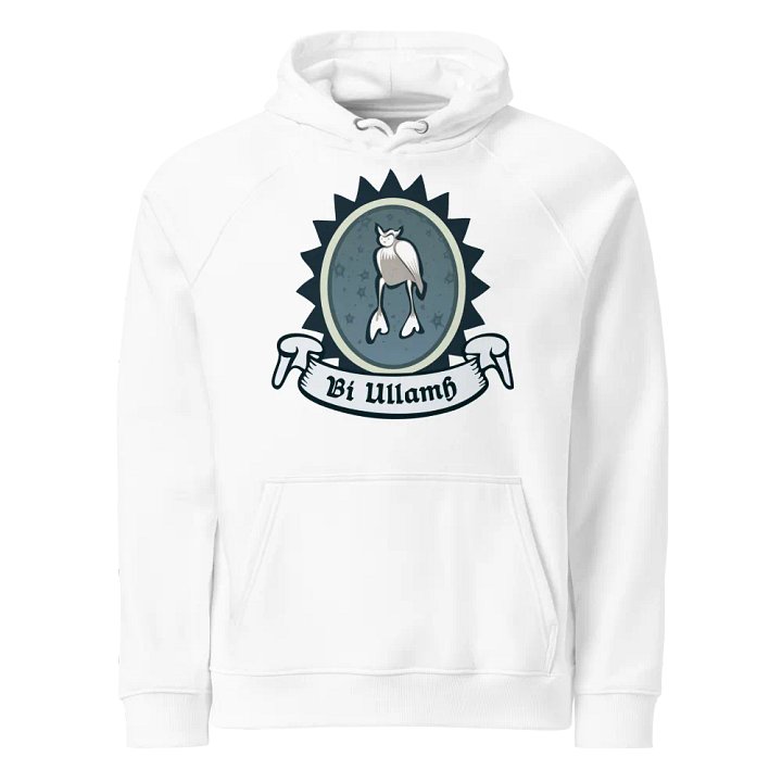 Ulchabhán Bí Ullamh SOL'S Eco Raglan Cochaill (Front Patch) product image (1)
