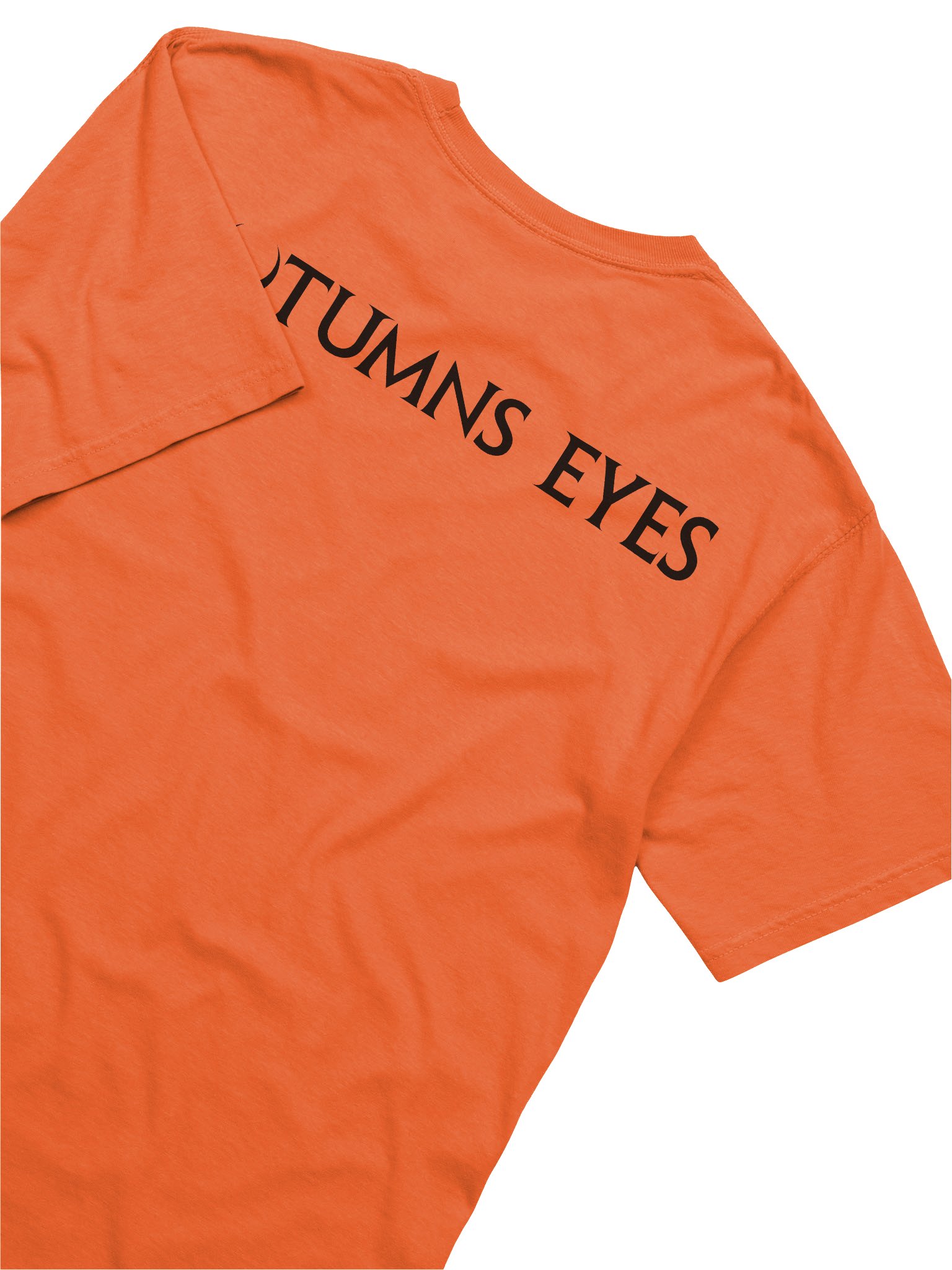 Burnt Orange Jack-O-Lantern Heavyweight Tee product image (6)