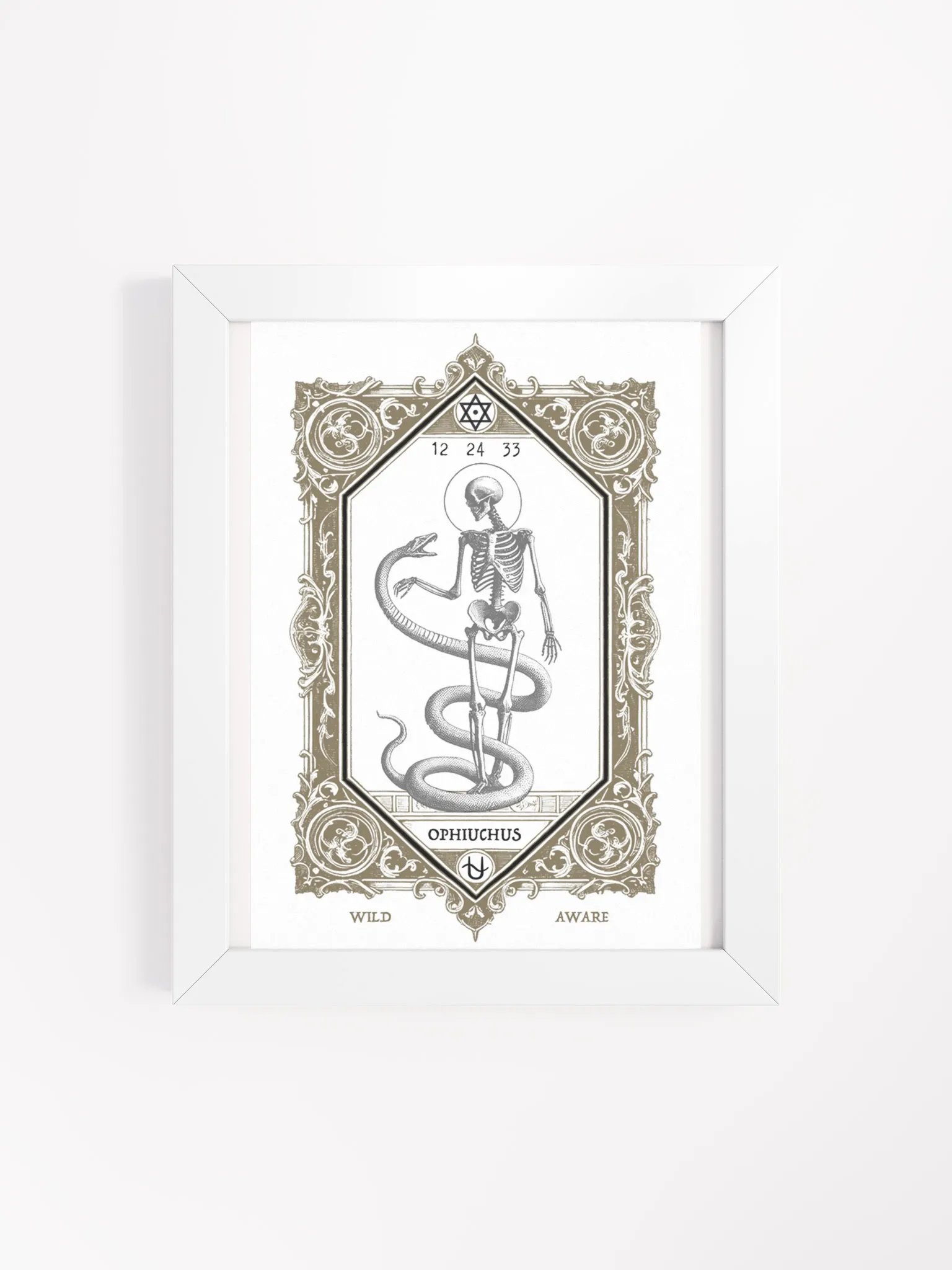 ZODIAQUE HERMÉTIQUE 8x10 – Ophiuchus product image (1)