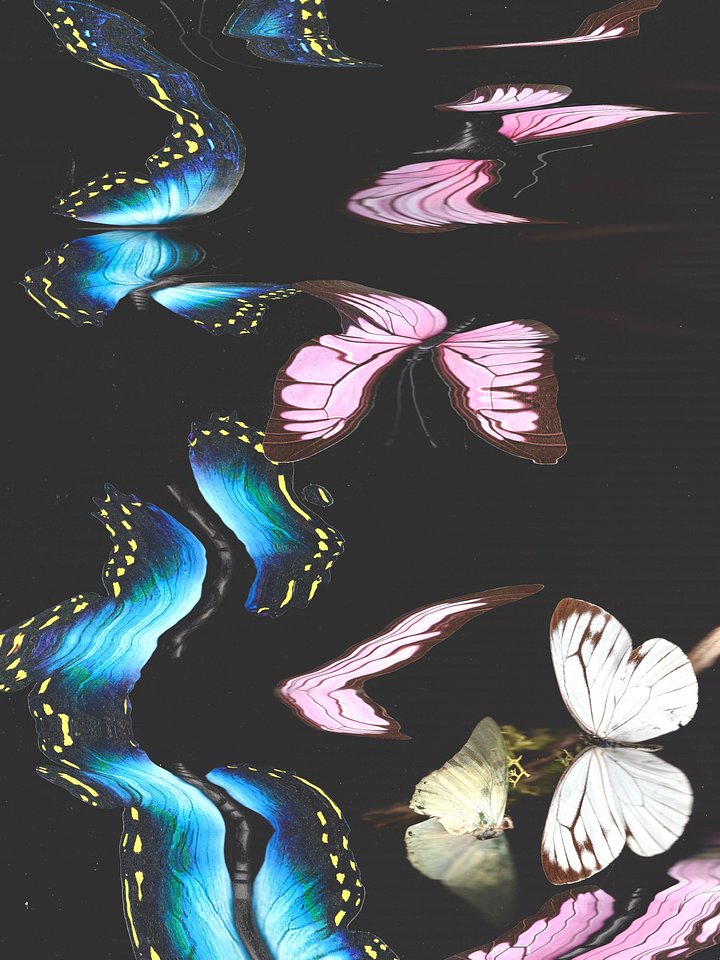 butterfly photo scan 8x10 art print ssav. product image (1)