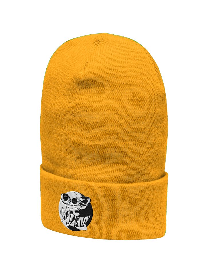 Duality Embroidered Beanie product image (2)