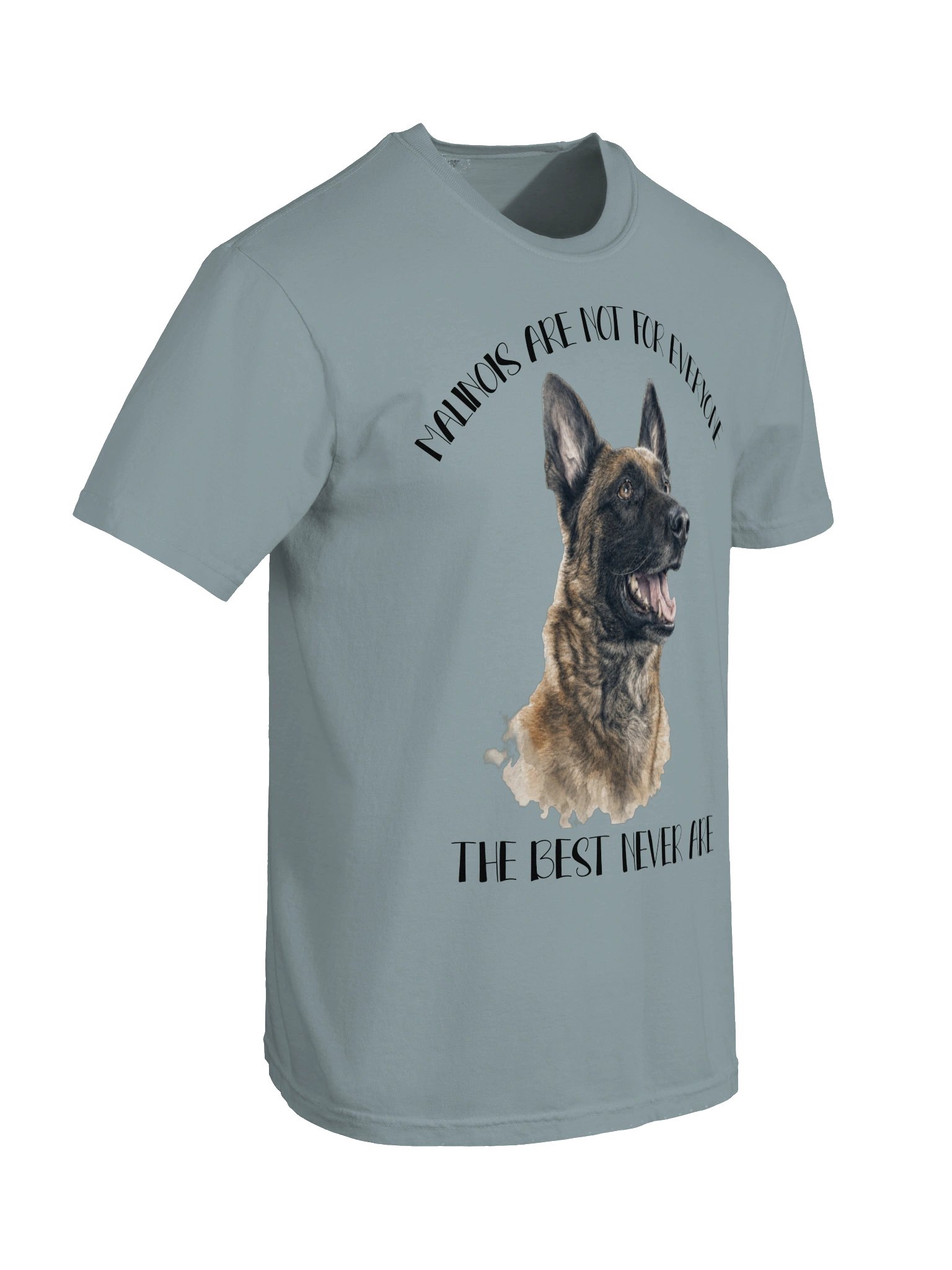 Malinois are not for everyone product image (93)
