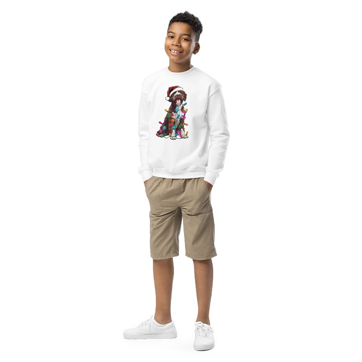 Funny Christmas Wirehaired Pointing Griffon(Chestnut) Youth Sweatshirt product image (1)