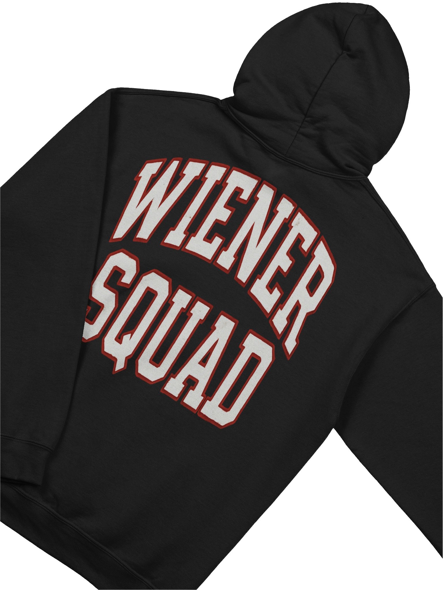 Wiener Squad Varsity Dachshund Hoodie product image (4)