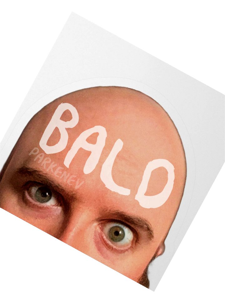 BaldyNev Stickers product image (6)