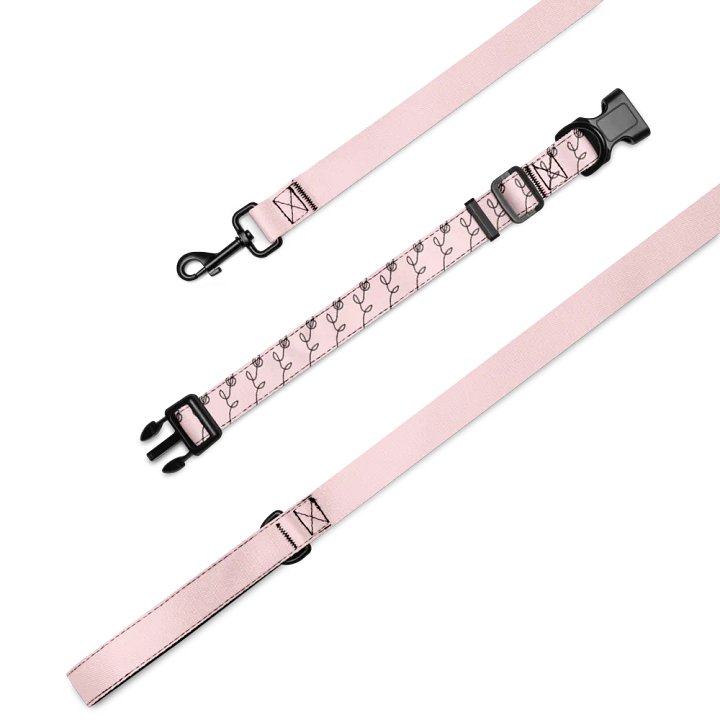 Gradient Gray Pet Collar & Leash Set product image (2)