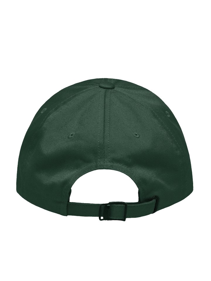 Actually very nice Baseball Hat product image (42)