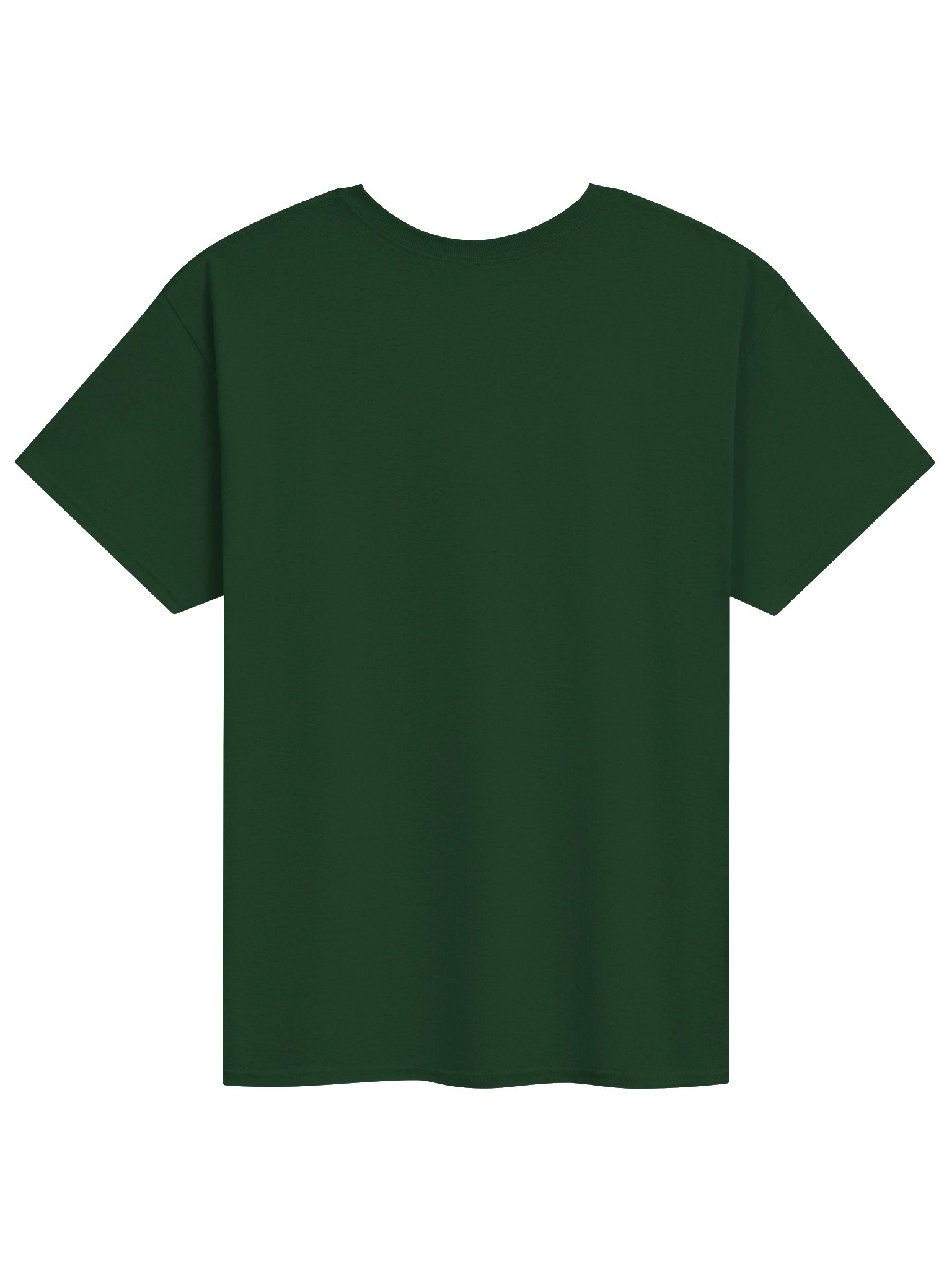 Limerick Champions 2026 Tee - P09 product image (3)