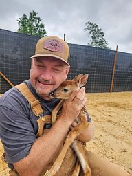 Fawn Level
