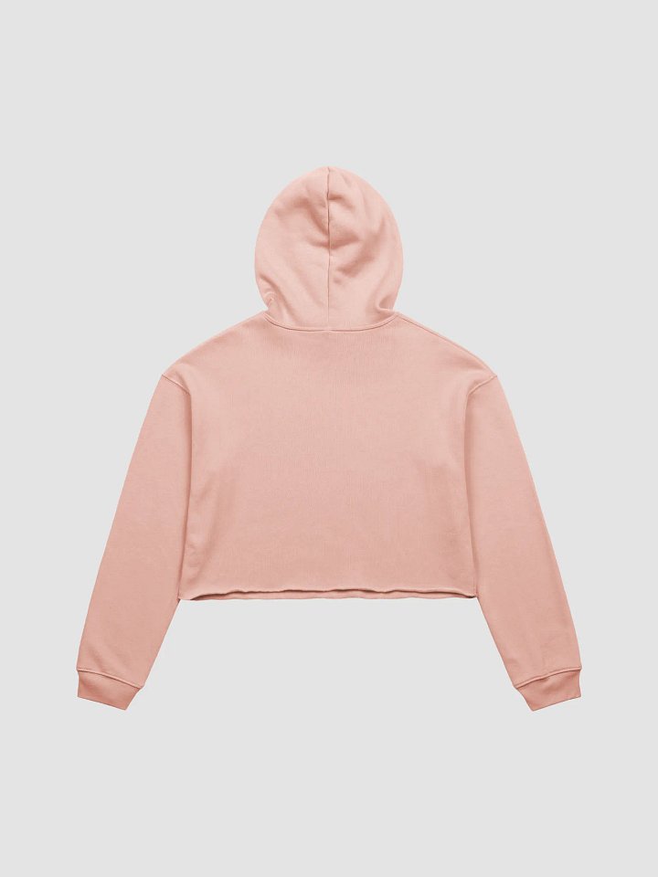 Nostalgic Throw Back - Crop Hoodie product image (8)