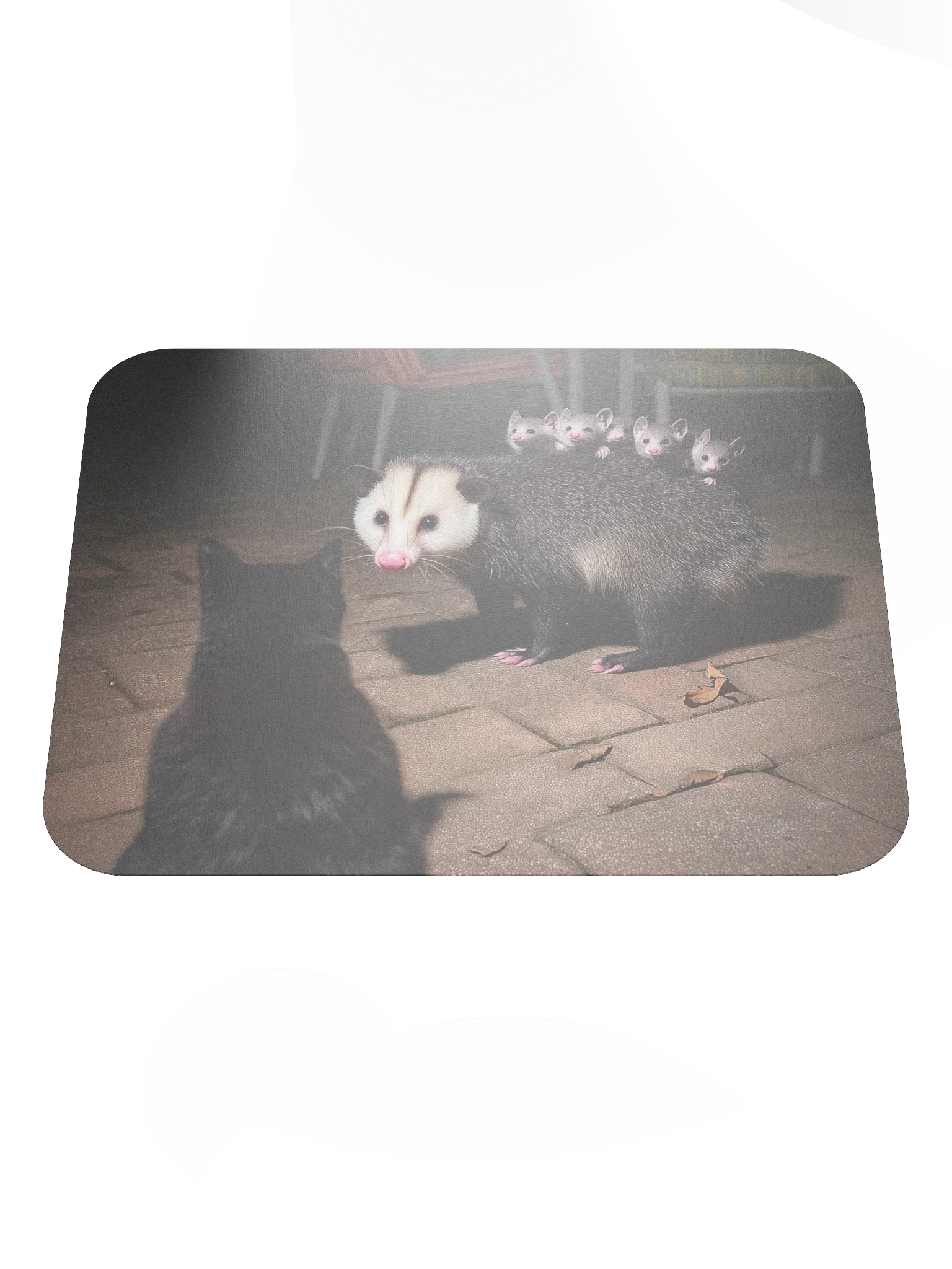 Cat meets opossum family Mouse Pad product image (1)