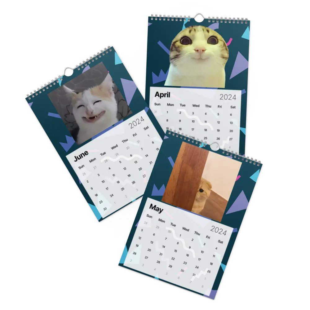 Wall Calendar (2024): Meme Cats product image (3)