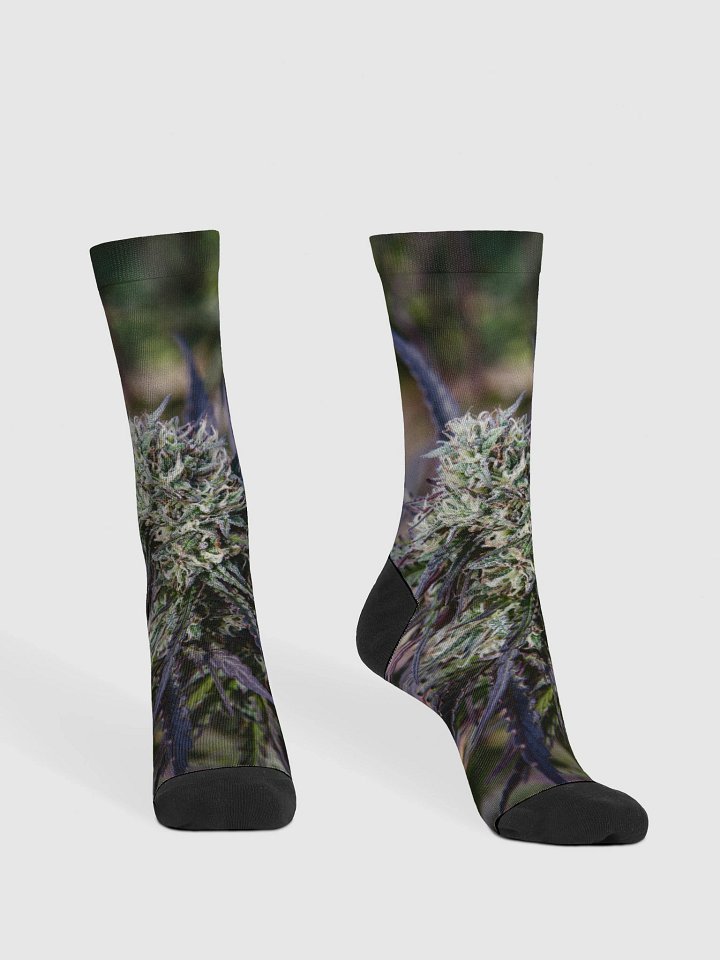 Royal Purple Cultivated Socks product image (2)