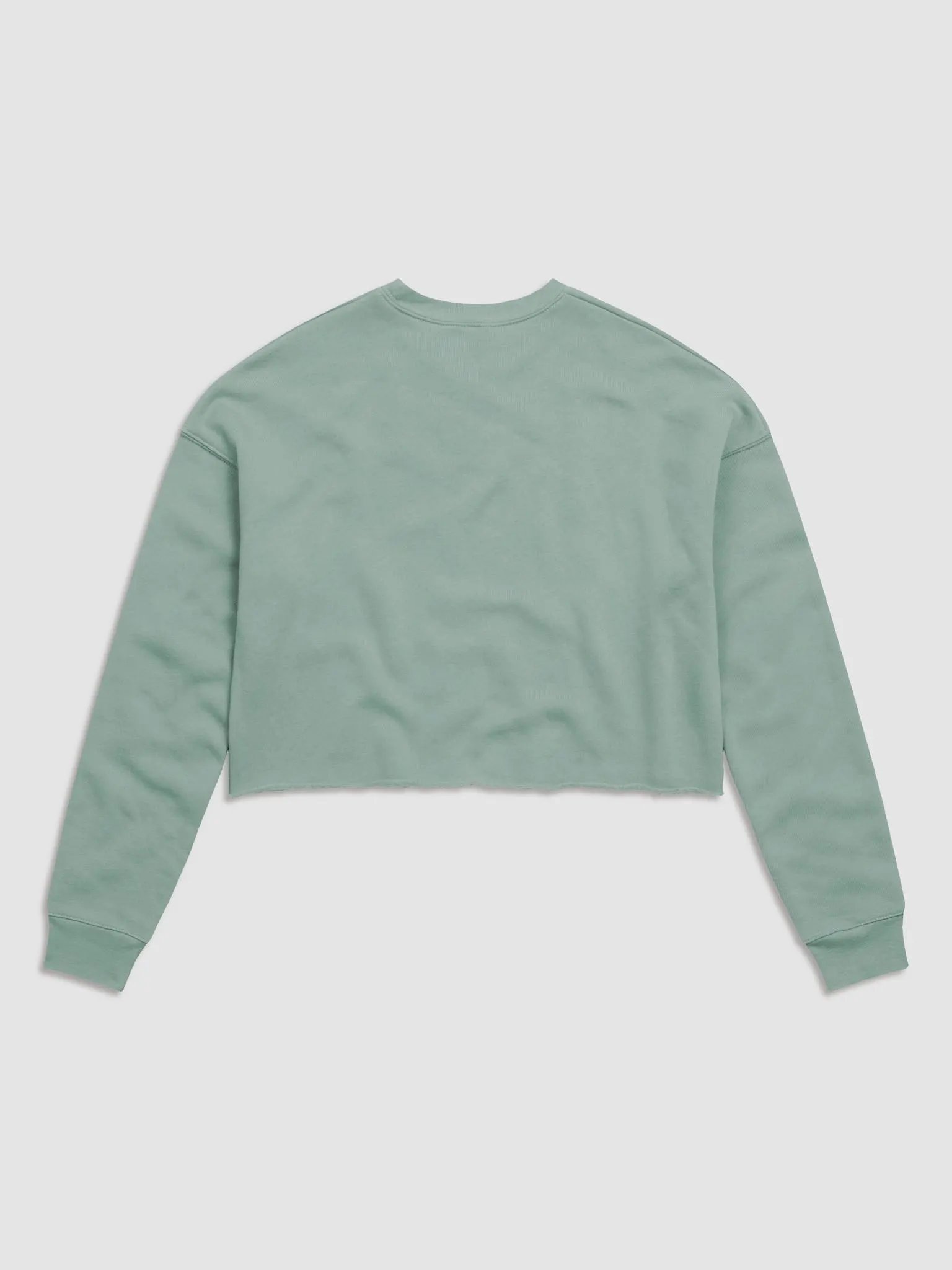 EmilyLove Cropped Sweatshirt product image (21)
