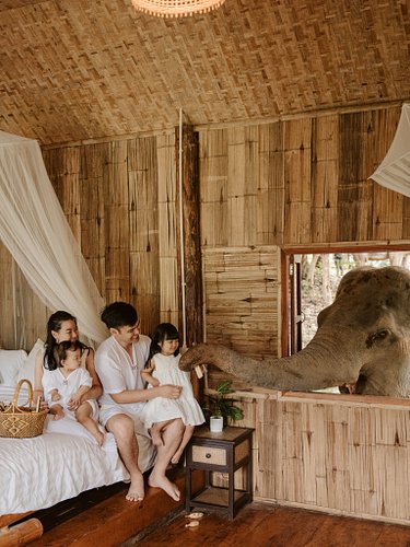 Imagine being this close to a gentle giant 🐘✨ Meet Losu — we got to spend a morning with her during our stay at @chailaiorchi...