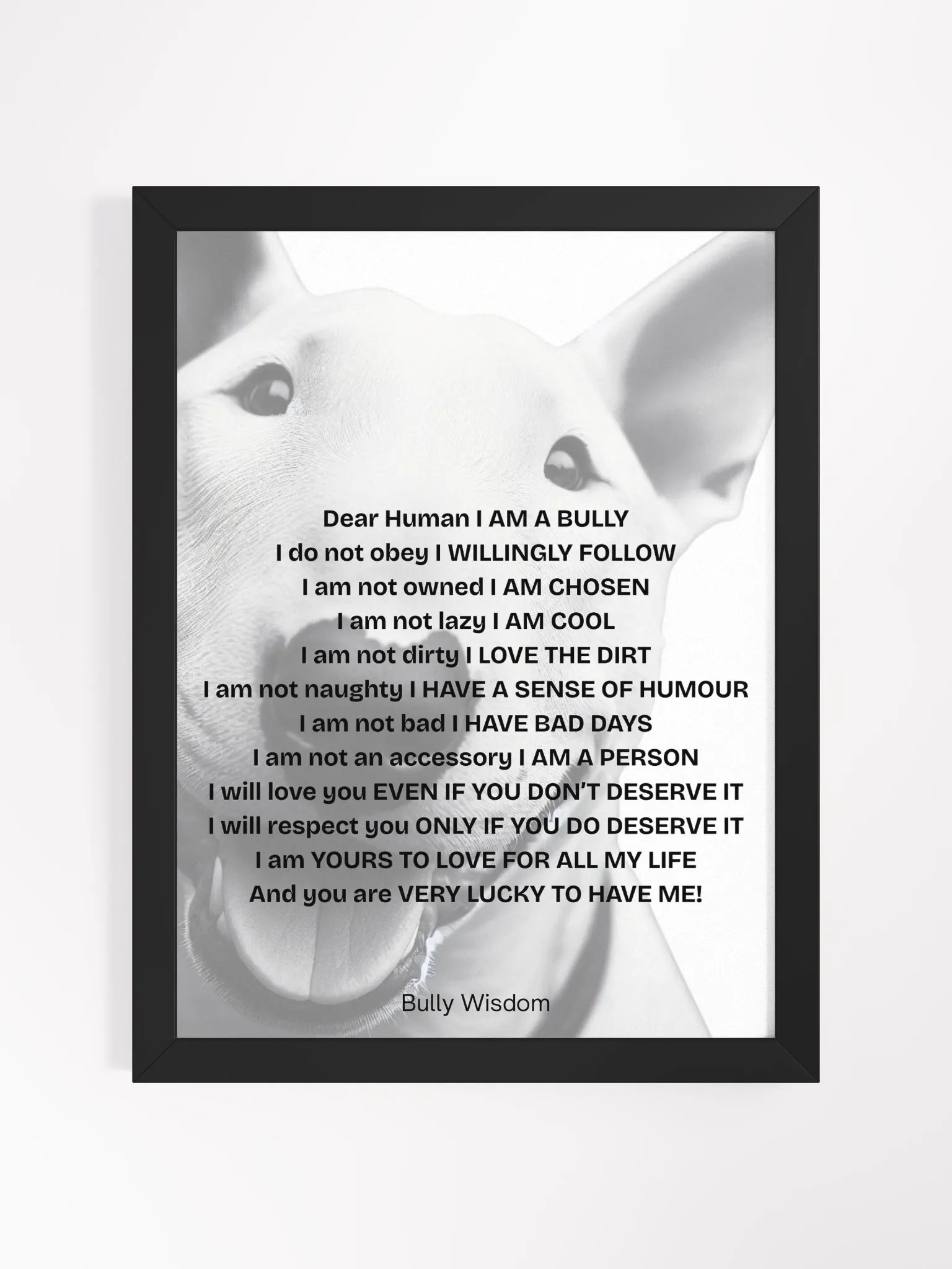 Bull Terrier "Dear Human, I am a Bully" product image (1)