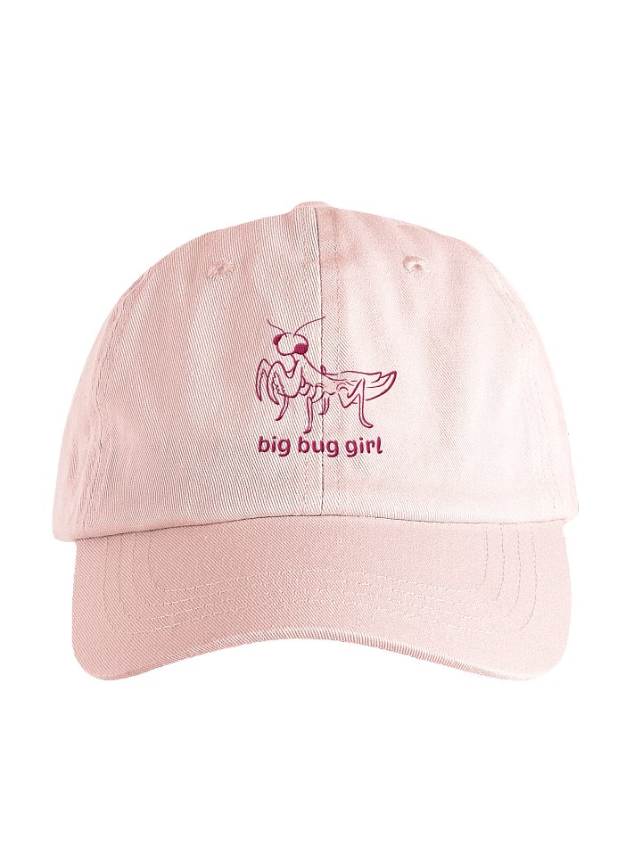 logo pastel stitched hat product image (1)
