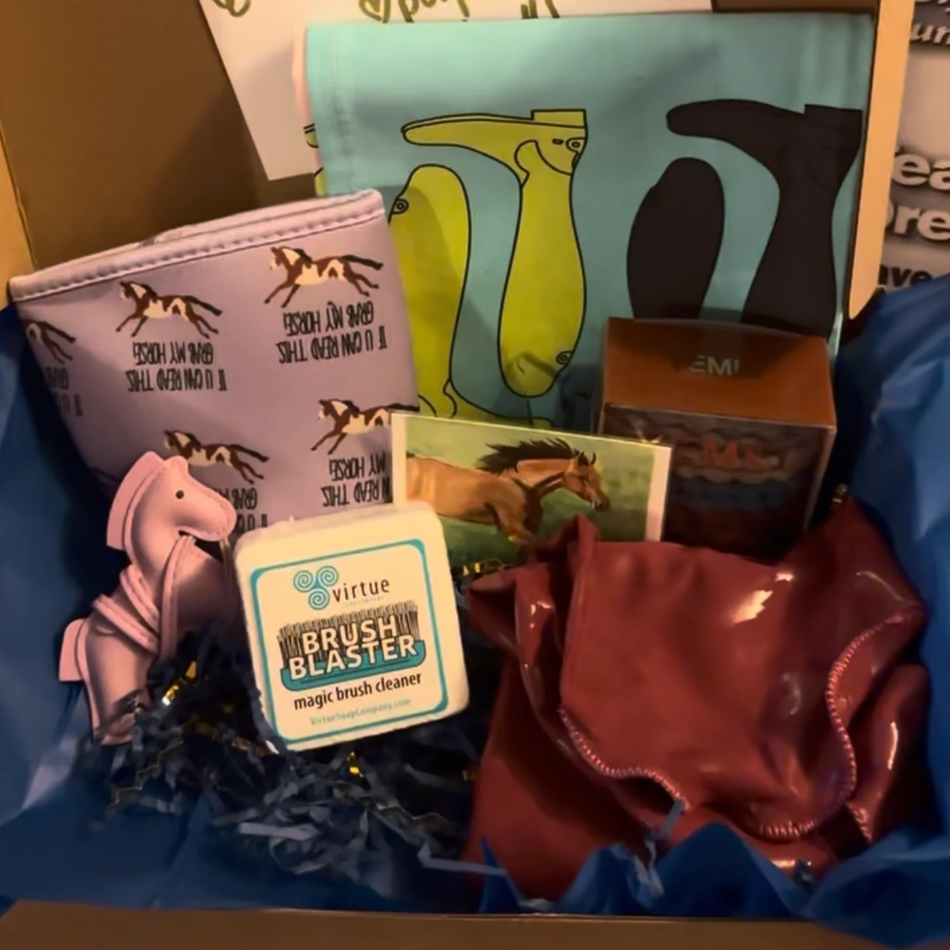 The Spoiled Equestrian Scoops 8 Mystery Pulls product image (3)