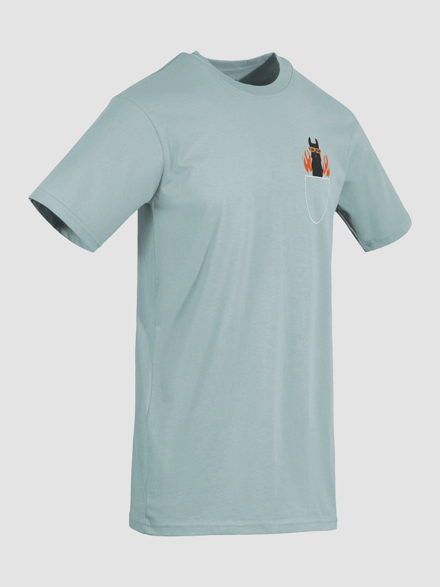 Chill Spanish Llama Tee product image (8)