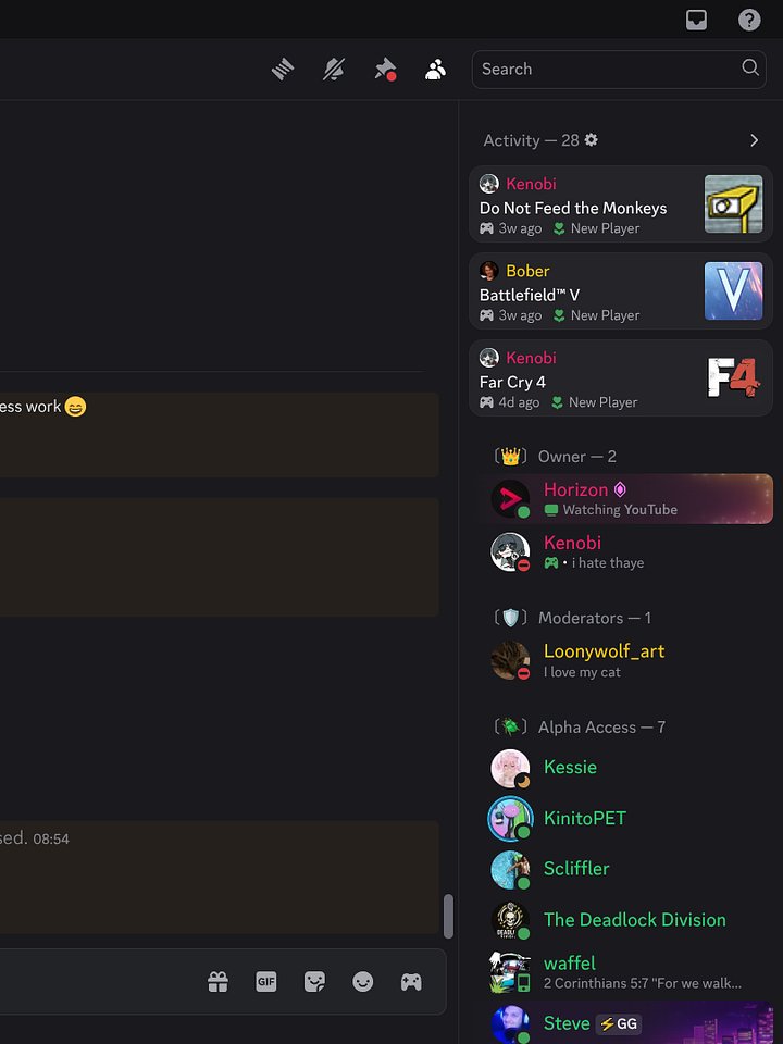 Discord Server product image (2)