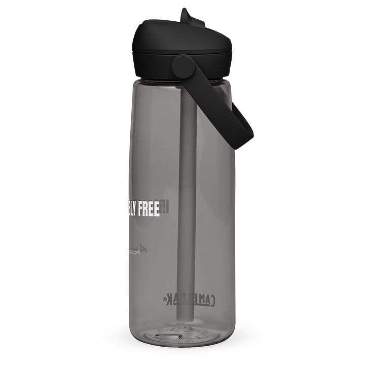 Irresponsibly Free CamelBak Straw Bottle product image (2)